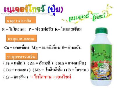 เนเจแอร์โกว์