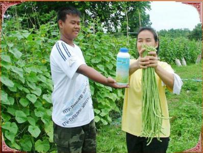 เนเจแอร์โกว์
