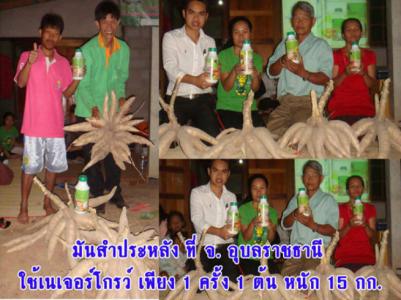 เนเจแอร์โกว์
