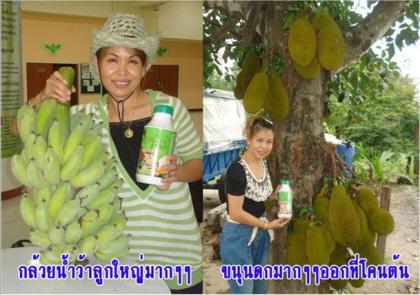 เนเจแอร์โกว์
