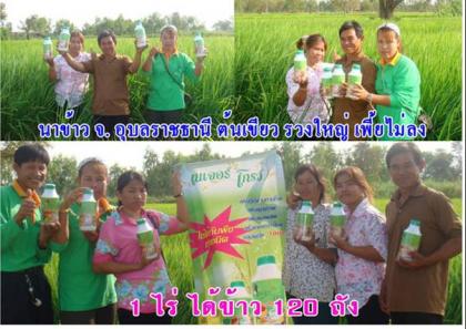 เนเจแอร์โกว์