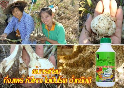 เนเจแอร์โกว์