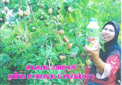 เนเจแอร์โกว์