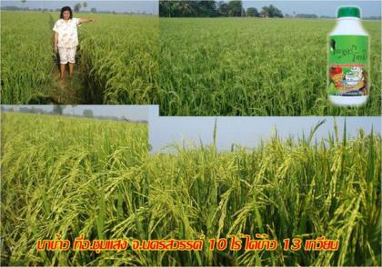 เนเจแอร์โกว์