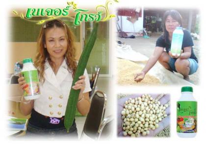 เนเจแอร์โกว์