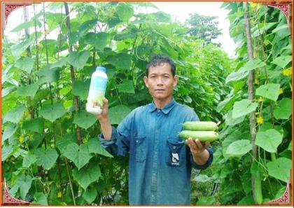 เนเจแอร์โกว์