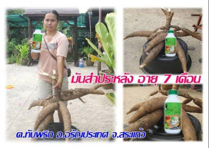 เนเจแอร์โกว์